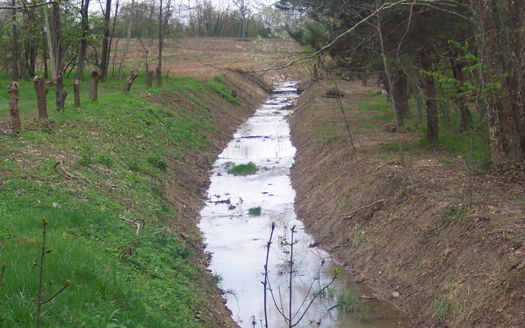 Esempi di sistemazione ambientale lungo i corsi d’acqua da noi gestiti